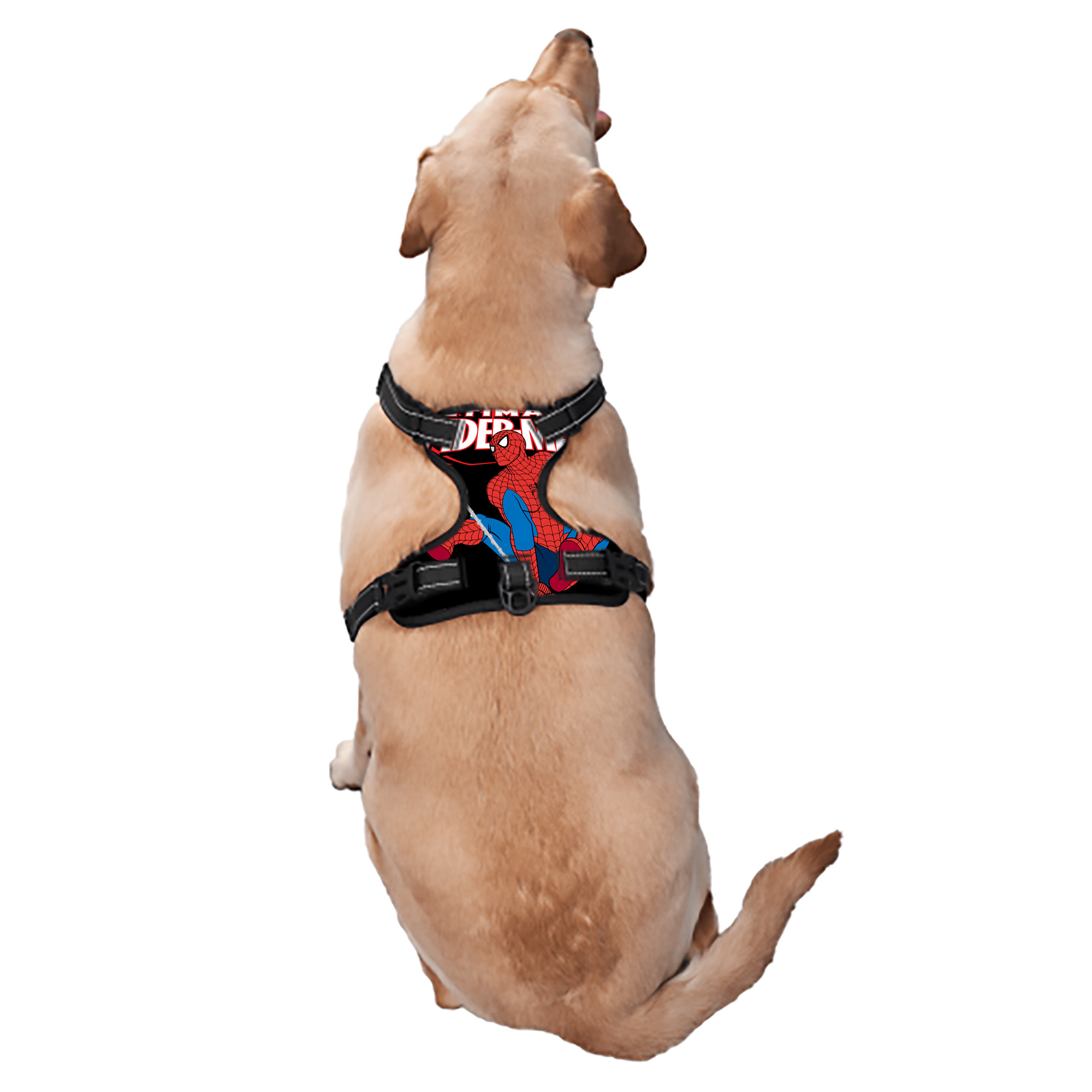 （画像用） Spider Man スパイダーマン ペット用ハーネス
